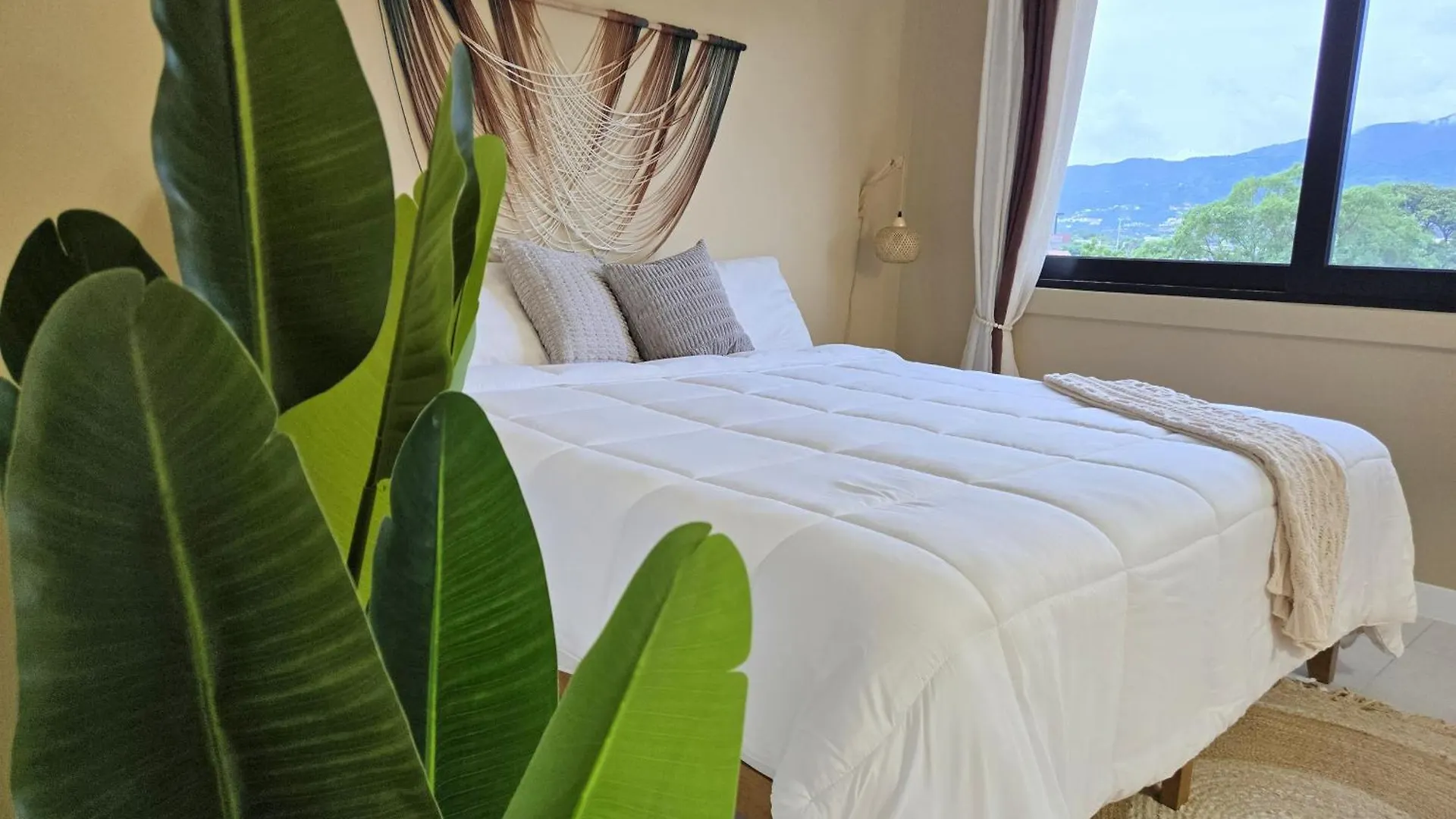 The Escape - Unique Bali Inspired Condo Kingston Apartment